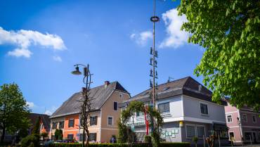 Maibaum für Mooskirchen