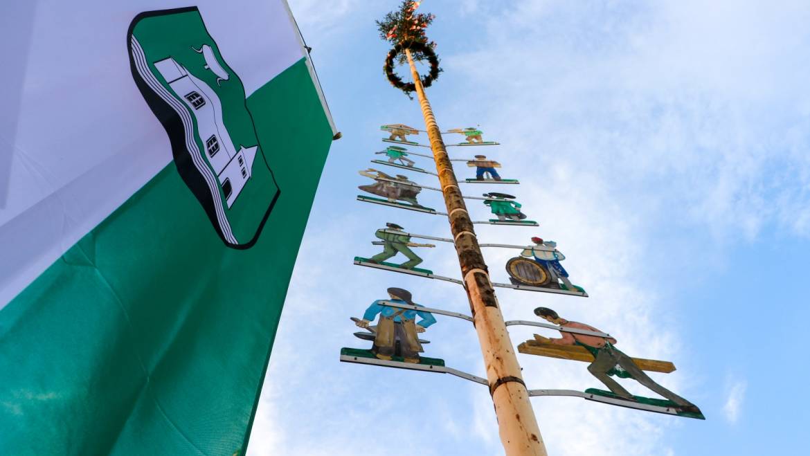 Maibaum für Mooskirchner Marktplatz