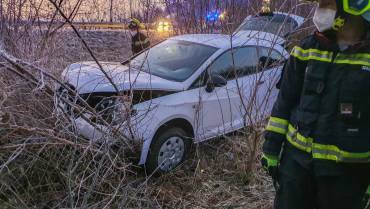 Fahrzeuglenkerin und Hund gerettet