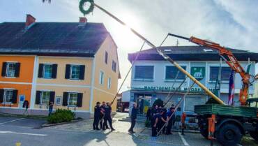 Maibaum für den Mooskirchner Marktplatz!