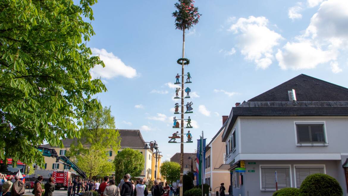 Traditioneller Maibaum für Mooskirchen